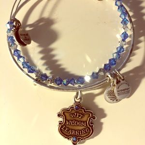 Alex and Ani Ravenclaw set